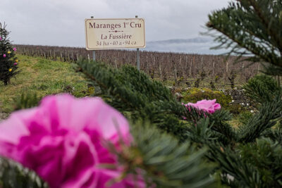 Agrandir l'image 33 sur 44, fenêtre modale