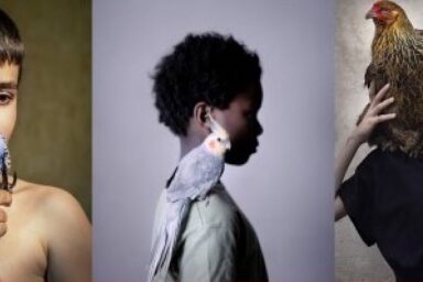 Agrandir l'image, fenêtre modale