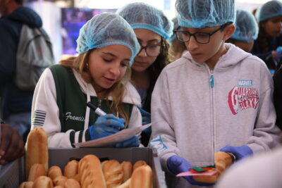 Agrandir l'image 3317876 sur 6, fenêtre modale