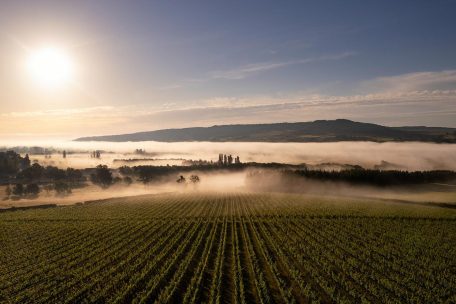 Programme Local de Prévention des déchets 2010 - 2016 