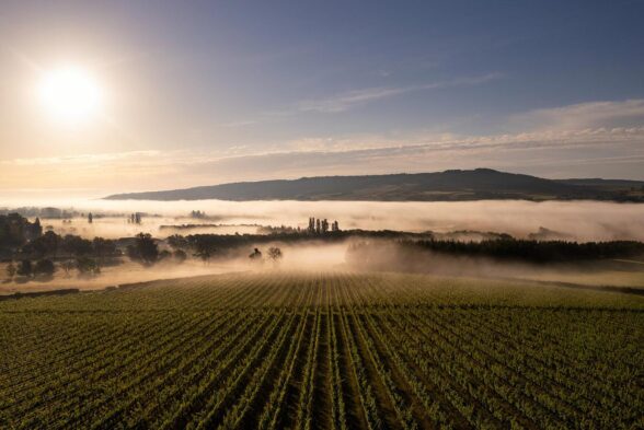 Programme Local de Prévention des déchets 2010 - 2016 