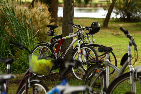 A travers le Grand Chalon