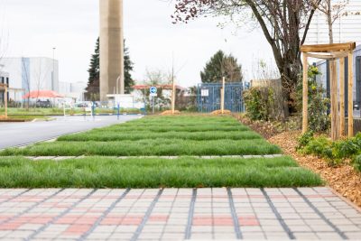 Agrandir l'image 71475 sur 11, fenêtre modale