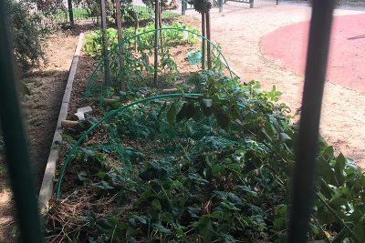 Agrandir l'image 74013 sur 6, fenêtre modale