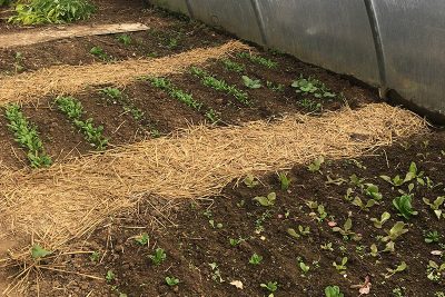 Agrandir l'image 74016 sur 6, fenêtre modale