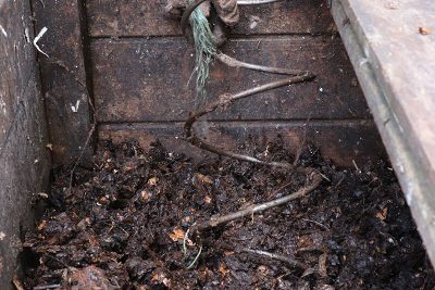 Agrandir l'image 75347 sur 3, fenêtre modale