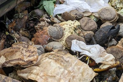 Agrandir l'image 75350 sur 3, fenêtre modale