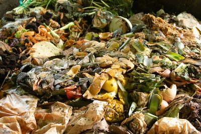 Agrandir l'image 75351 sur 3, fenêtre modale