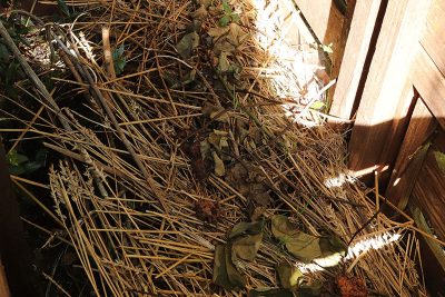 Agrandir l'image 75353 sur 6, fenêtre modale