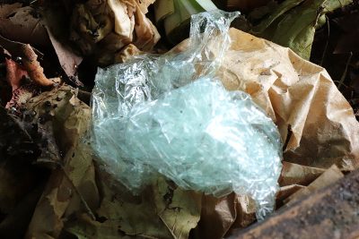 Agrandir l'image 75356 sur 6, fenêtre modale