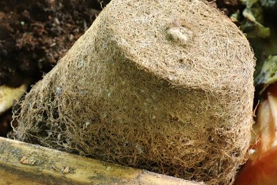 Agrandir l'image 75357 sur 6, fenêtre modale