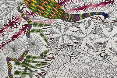 Agrandir l'image, fenêtre modale