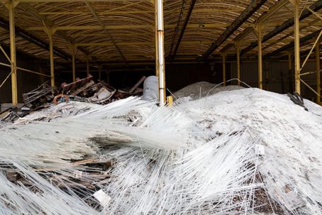 Dépollution des sols