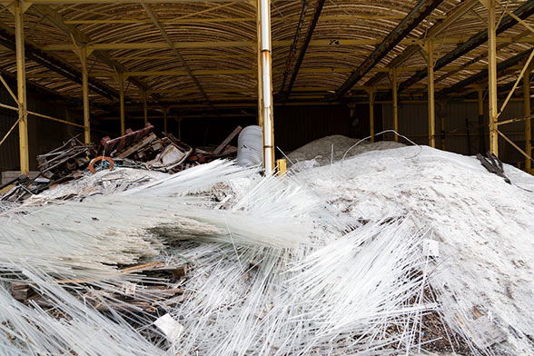 Dépollution des sols