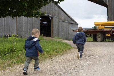 Agrandir l'image 82399 sur 50, fenêtre modale