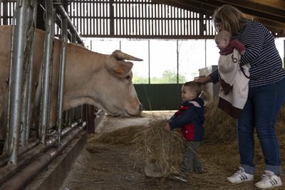 Agrandir l'image 82400 sur 50, fenêtre modale