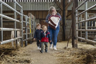 Agrandir l'image 82401 sur 50, fenêtre modale