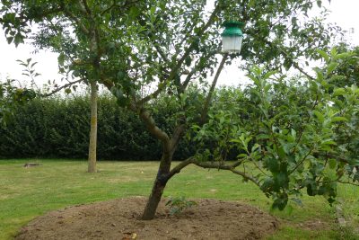 Agrandir l'image 85382 sur 3, fenêtre modale