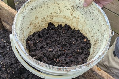 Agrandir l'image 85351 sur 6, fenêtre modale