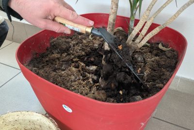 Agrandir l'image 85345 sur 6, fenêtre modale