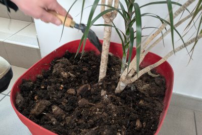 Agrandir l'image 85343 sur 6, fenêtre modale