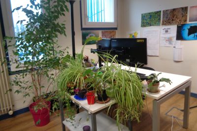 Agrandir l'image 85415 sur 2, fenêtre modale