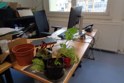 Agrandir l'image 85416 sur 2, fenêtre modale