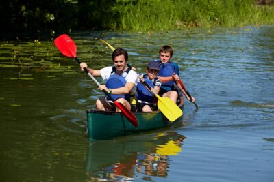 Agrandir l'image 87063 sur 3, fenêtre modale