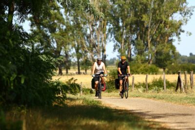 Agrandir l'image 87681 sur 3, fenêtre modale