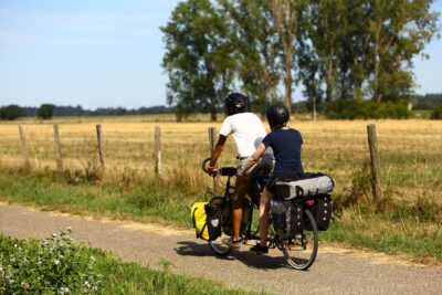 Agrandir l'image 87670 sur 3, fenêtre modale