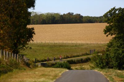 Agrandir l'image 87673 sur 3, fenêtre modale