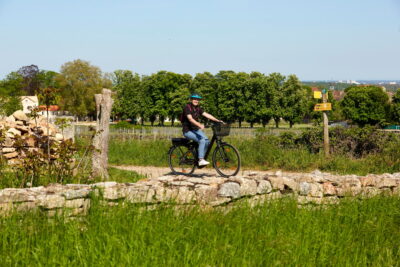 Agrandir l'image 87675 sur 3, fenêtre modale