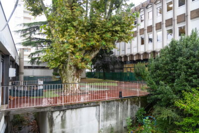 Agrandir l'image 88193 sur 9, fenêtre modale